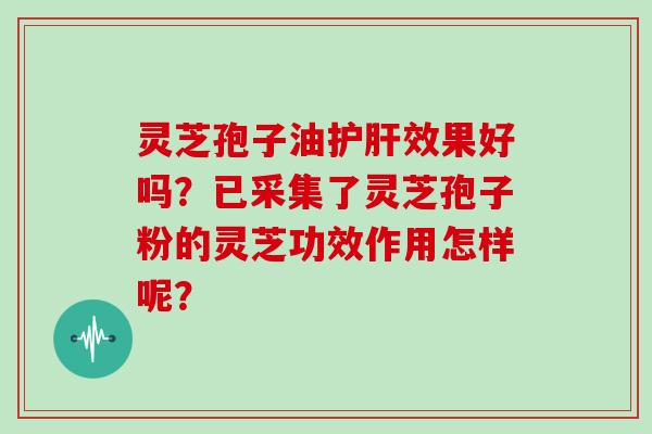 灵芝孢子油护肝效果好吗？已采集了灵芝孢子粉的灵芝功效作用怎样呢？