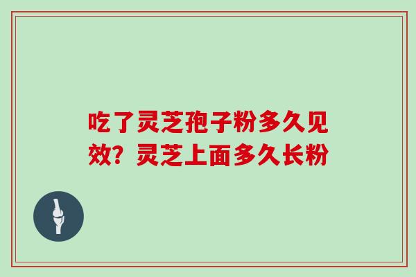 吃了灵芝孢子粉多久见效？灵芝上面多久长粉