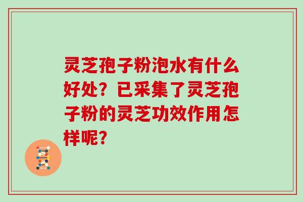 灵芝孢子粉泡水有什么好处？已采集了灵芝孢子粉的灵芝功效作用怎样呢？