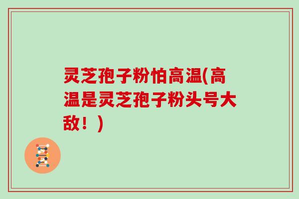 灵芝孢子粉怕高温(高温是灵芝孢子粉头号大敌！)