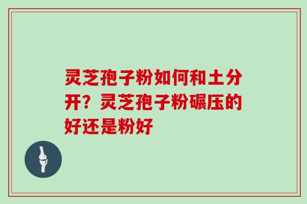灵芝孢子粉如何和土分开？灵芝孢子粉碾压的好还是粉好