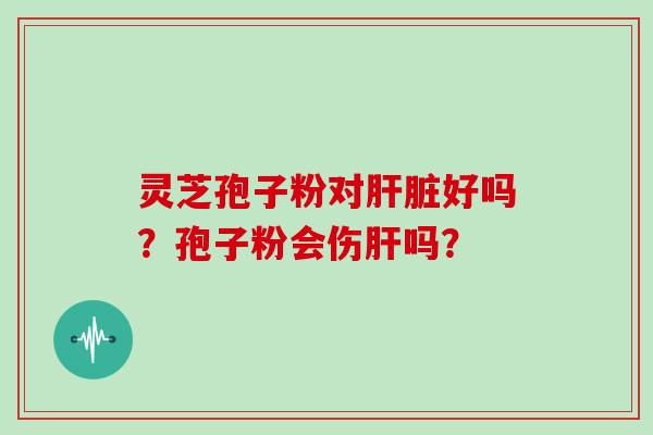 灵芝孢子粉对肝脏好吗？孢子粉会伤肝吗？