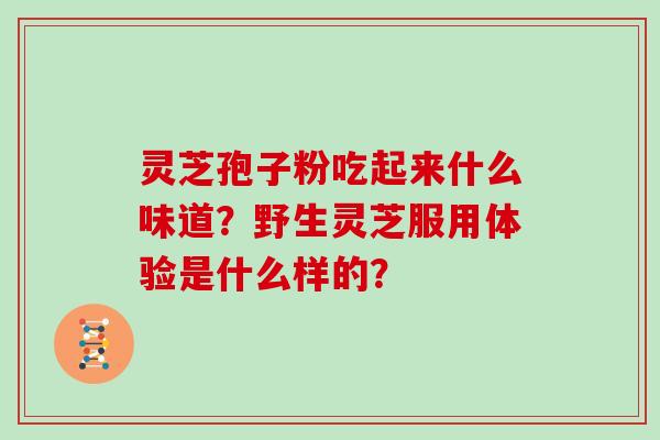 灵芝孢子粉吃起来什么味道？野生灵芝服用体验是什么样的？