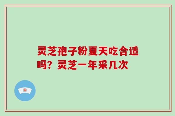 灵芝孢子粉夏天吃合适吗？灵芝一年采几次