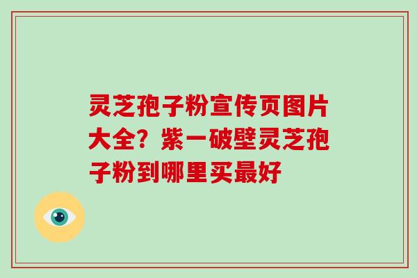 灵芝孢子粉宣传页图片大全？紫一破壁灵芝孢子粉到哪里买最好