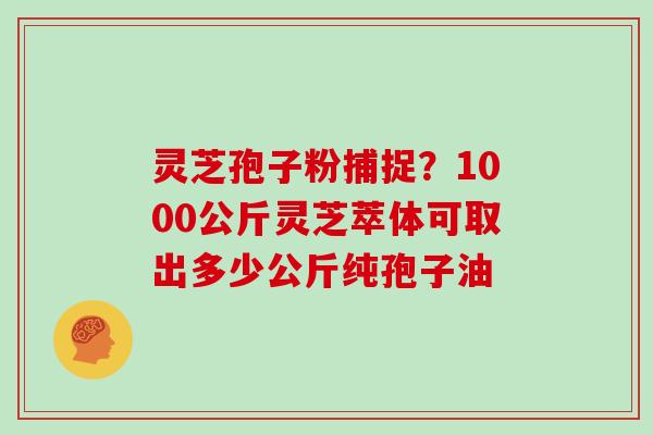 灵芝孢子粉捕捉？1000公斤灵芝萃体可取出多少公斤纯孢子油