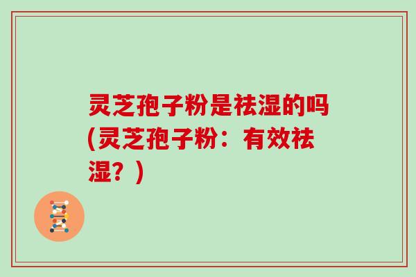 灵芝孢子粉是祛湿的吗(灵芝孢子粉:有效祛湿?)-第1张图片-灵芝大师 灵芝孢子粉是祛湿的吗(灵芝孢子粉:有效祛湿?)-第1张图片-灵芝大师