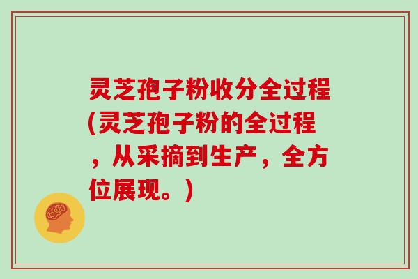 灵芝孢子粉收分全过程(灵芝孢子粉的全过程，从采摘到生产，全方位展现。)
