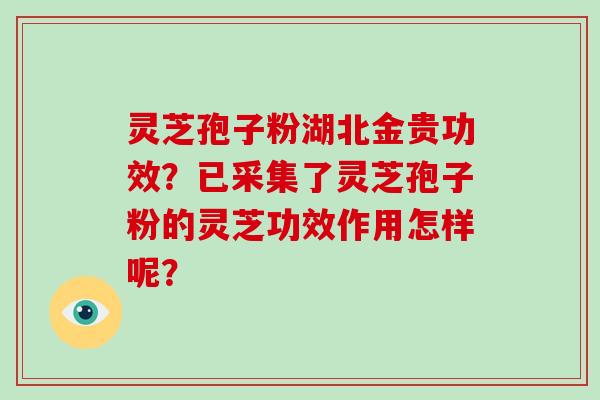 灵芝孢子粉湖北金贵功效？已采集了灵芝孢子粉的灵芝功效作用怎样呢？