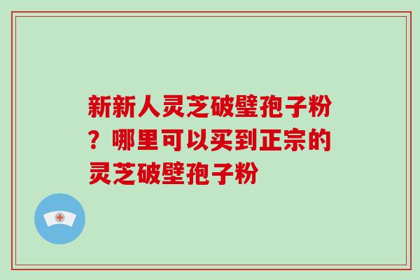 新新人灵芝破璧孢子粉？哪里可以买到正宗的灵芝破壁孢子粉