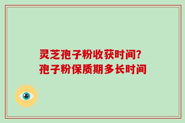 灵芝孢子粉收获时间？孢子粉保质期多长时间