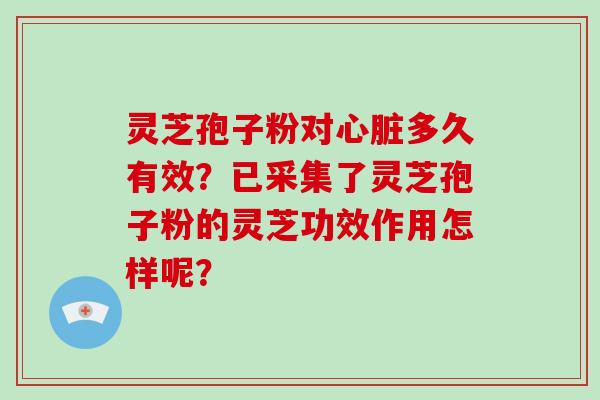 灵芝孢子粉对心脏多久有效？已采集了灵芝孢子粉的灵芝功效作用怎样呢？