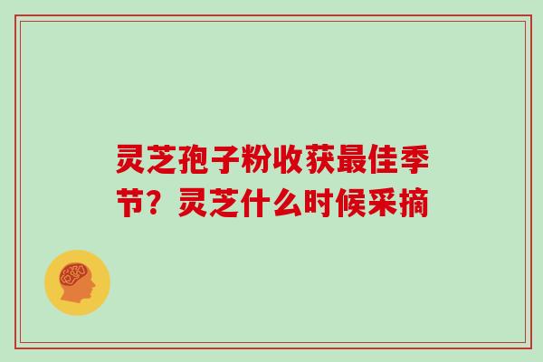 灵芝孢子粉收获最佳季节?灵芝什么时候采摘-第1张图片-灵芝大师 灵芝孢子粉收获最佳季节?灵芝什么时候采摘-第1张图片-灵芝大师