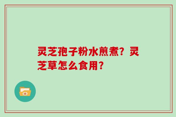 灵芝孢子粉水煎煮？灵芝草怎么食用？