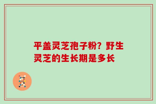 平盖灵芝孢子粉？野生灵芝的生长期是多长