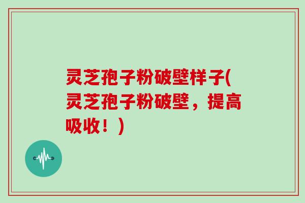灵芝孢子粉破壁样子(灵芝孢子粉破壁，提高吸收！)