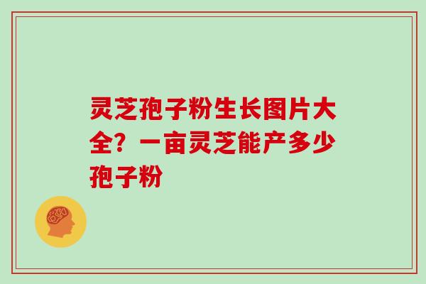 灵芝孢子粉生长图片大全？一亩灵芝能产多少孢子粉