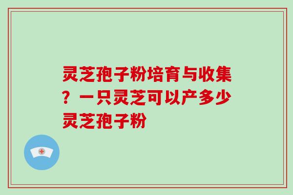灵芝孢子粉培育与收集？一只灵芝可以产多少灵芝孢子粉