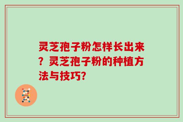 灵芝孢子粉怎样长出来？灵芝孢子粉的种植方法与技巧？