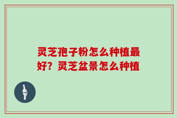 灵芝孢子粉怎么种植最好？灵芝盆景怎么种植