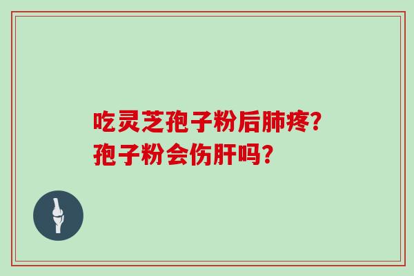 吃灵芝孢子粉后肺疼？孢子粉会伤肝吗？