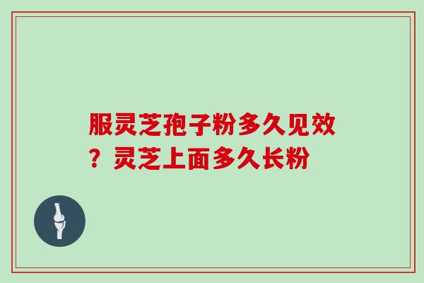 服灵芝孢子粉多久见效？灵芝上面多久长粉
