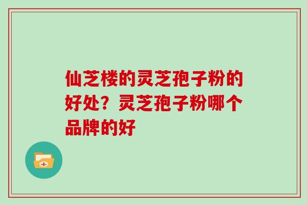 仙芝楼的灵芝孢子粉的好处？灵芝孢子粉哪个品牌的好