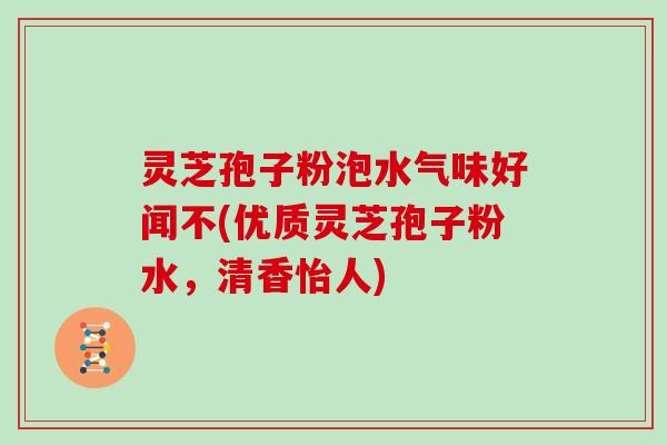 灵芝孢子粉泡水气味好闻不(优质灵芝孢子粉水，清香怡人)
