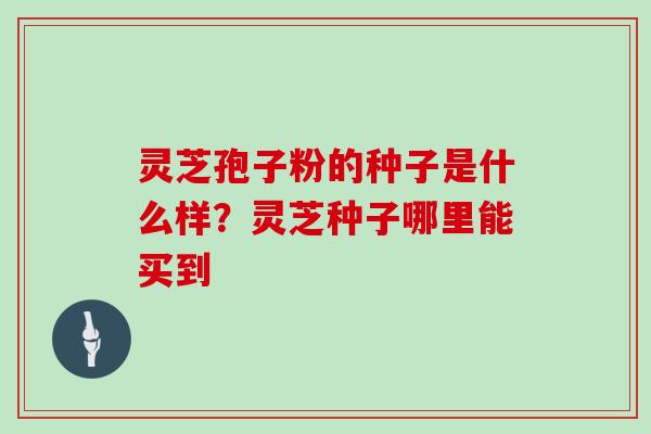 灵芝孢子粉的种子是什么样？灵芝种子哪里能买到