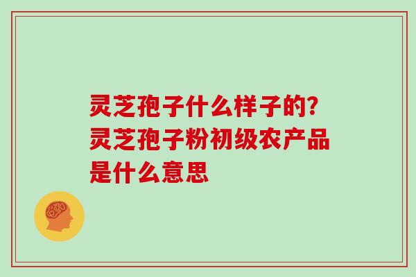 灵芝孢子什么样子的？灵芝孢子粉初级农产品是什么意思