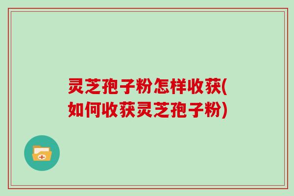 灵芝孢子粉怎样收获(如何收获灵芝孢子粉)