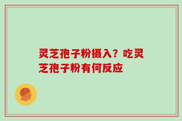 灵芝孢子粉摄入？吃灵芝孢子粉有何反应