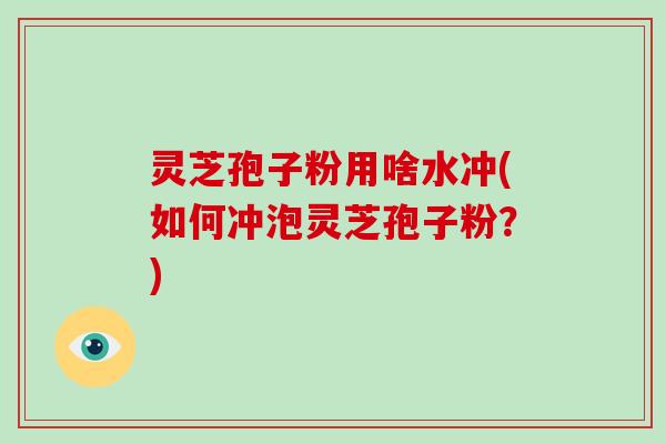 灵芝孢子粉用啥水冲(如何冲泡灵芝孢子粉？)