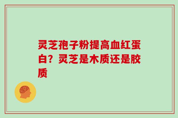 灵芝孢子粉提高血红蛋白？灵芝是木质还是胶质