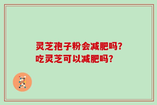 灵芝孢子粉会减肥吗？吃灵芝可以减肥吗？