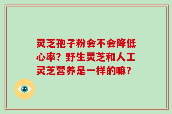 灵芝孢子粉会不会降低心率?野生灵芝和人工灵芝营养是一样的嘛?-第1张图片-灵芝大师 灵芝孢子粉会不会降低心率?野生灵芝和人工灵芝营养是一样的嘛?-第1张图片-灵芝大师