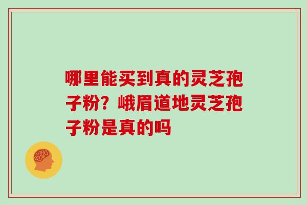 哪里能买到真的灵芝孢子粉？峨眉道地灵芝孢子粉是真的吗