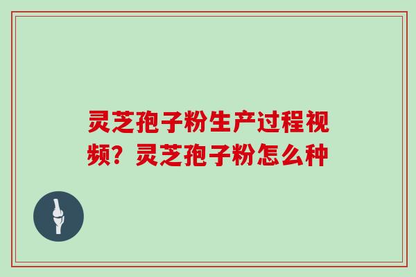 灵芝孢子粉生产过程视频？灵芝孢子粉怎么种