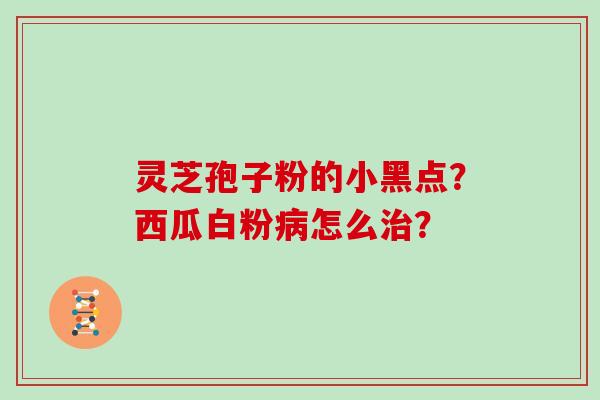 灵芝孢子粉的小黑点？西瓜白粉病怎么治？