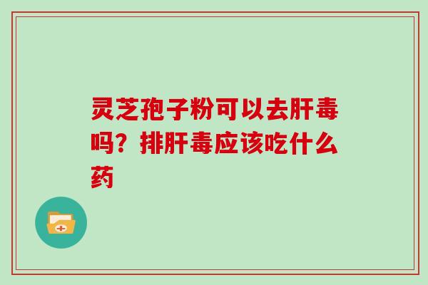 灵芝孢子粉可以去肝毒吗？排肝毒应该吃什么药