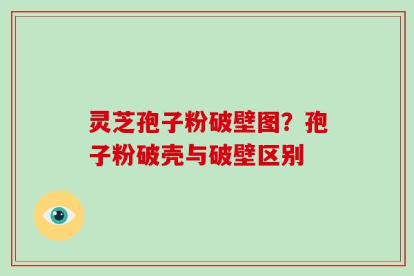 灵芝孢子粉破壁图？孢子粉破壳与破壁区别