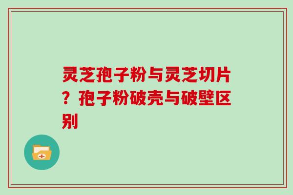 灵芝孢子粉与灵芝切片？孢子粉破壳与破壁区别