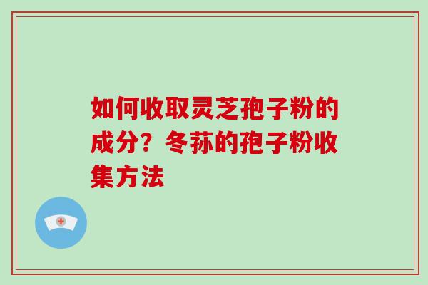 如何收取灵芝孢子粉的成分？冬荪的孢子粉收集方法