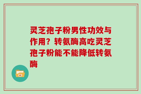 灵芝孢子粉男性功效与作用?转氨酶高吃灵芝孢子粉能不能降低转氨酶-第1张图片-灵芝大师 灵芝孢子粉男性功效与作用?转氨酶高吃灵芝孢子粉能不能降低转氨酶-第1张图片-灵芝大师
