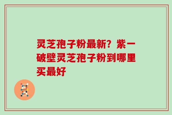 灵芝孢子粉最新？紫一破壁灵芝孢子粉到哪里买最好