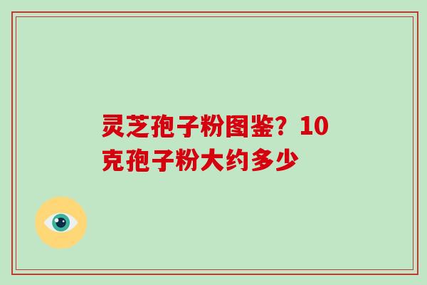 灵芝孢子粉图鉴？10克孢子粉大约多少