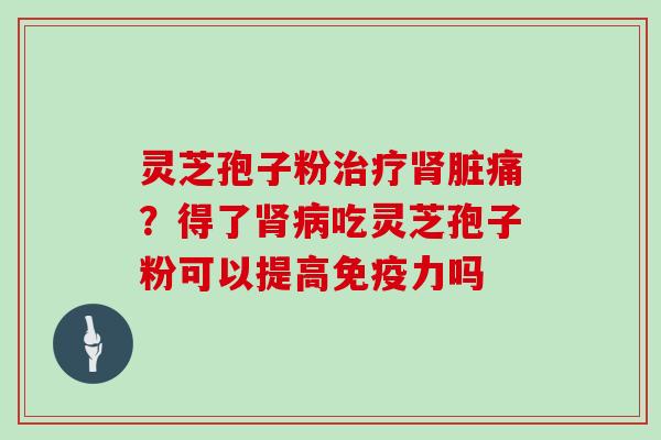 灵芝孢子粉治疗肾脏痛?得了肾病吃灵芝孢子粉可以提高免疫力吗-第1张图片-灵芝大师 灵芝孢子粉治疗肾脏痛?得了肾病吃灵芝孢子粉可以提高免疫力吗-第1张图片-灵芝大师