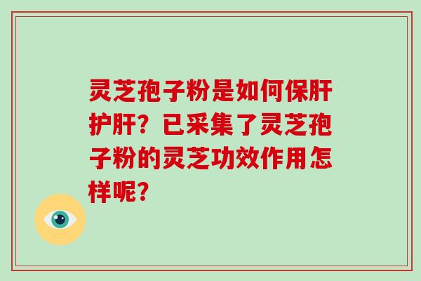 灵芝孢子粉是如何保肝护肝？已采集了灵芝孢子粉的灵芝功效作用怎样呢？