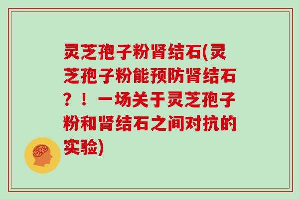灵芝孢子粉肾结石(灵芝孢子粉能预防肾结石？！一场关于灵芝孢子粉和肾结石之间对抗的实验)