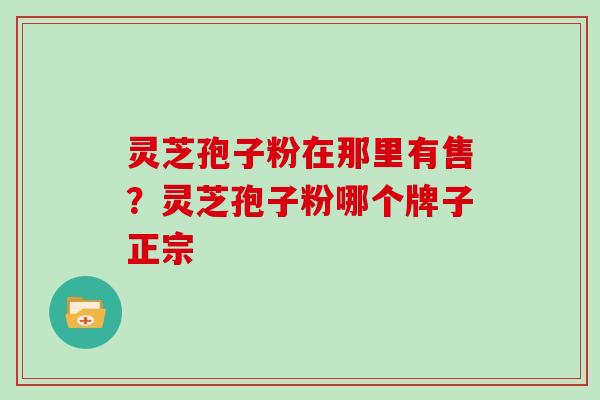 灵芝孢子粉在那里有售？灵芝孢子粉哪个牌子正宗